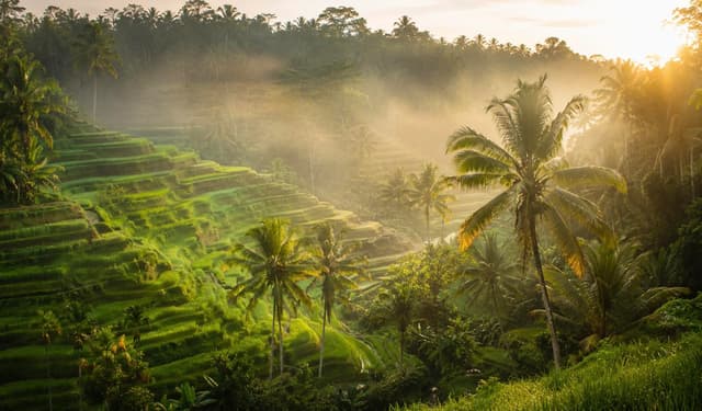 Bali Travel Guide: Visas, Money, Getting Around and When to Go