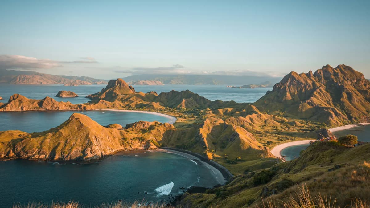 Padar Island viewpoint in Komodo National Park showing curved bays and golden hills at sunrise