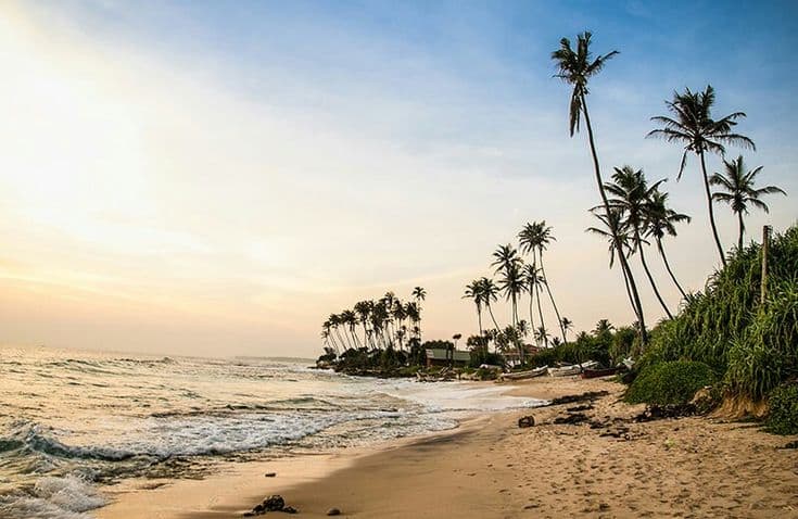 Sri Lanka Tour