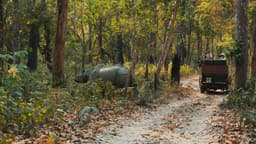 Chitwan Jungle Safari — one-horned rhino and a safari jeep in Chitwan National Park