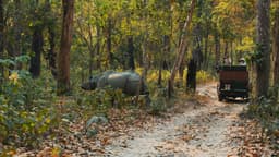 Chitwan Jungle Safari — one-horned rhino and a safari jeep in Chitwan National Park