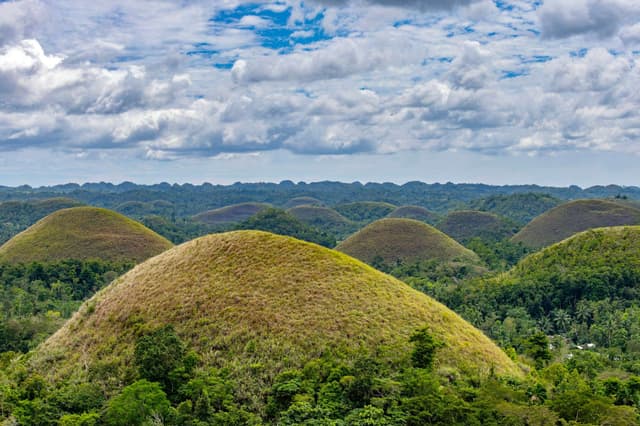 Cebu & Bohol Tour