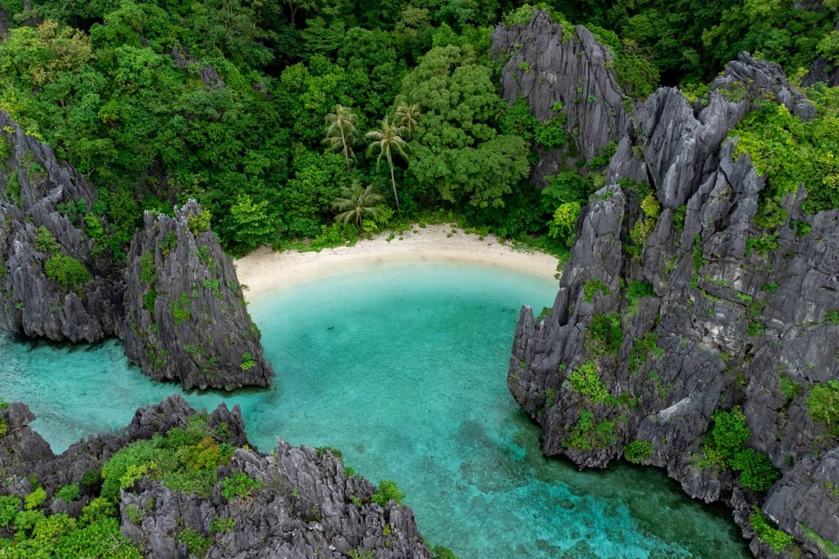 Grand Circuit: Manila, Palawan, Cebu & Bohol Tour — photo 1