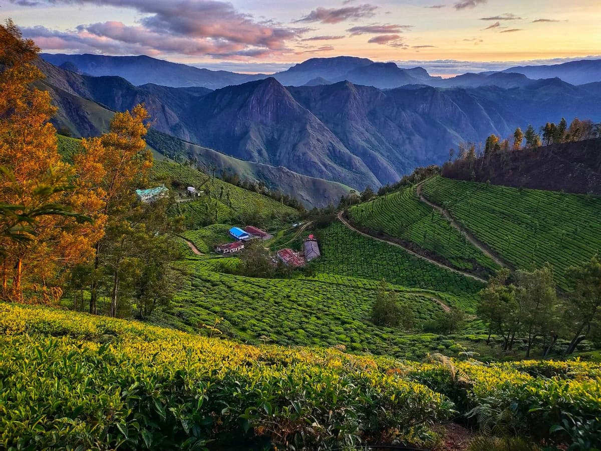 Kerala Munnar, Thekkady & Alleppey — photo 1