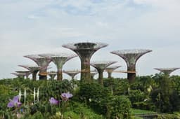 Singapore Family & Leisure Tour