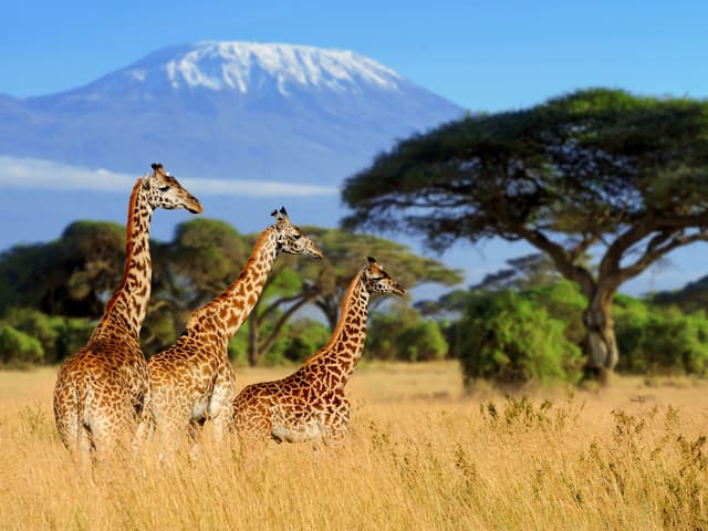 Kenya