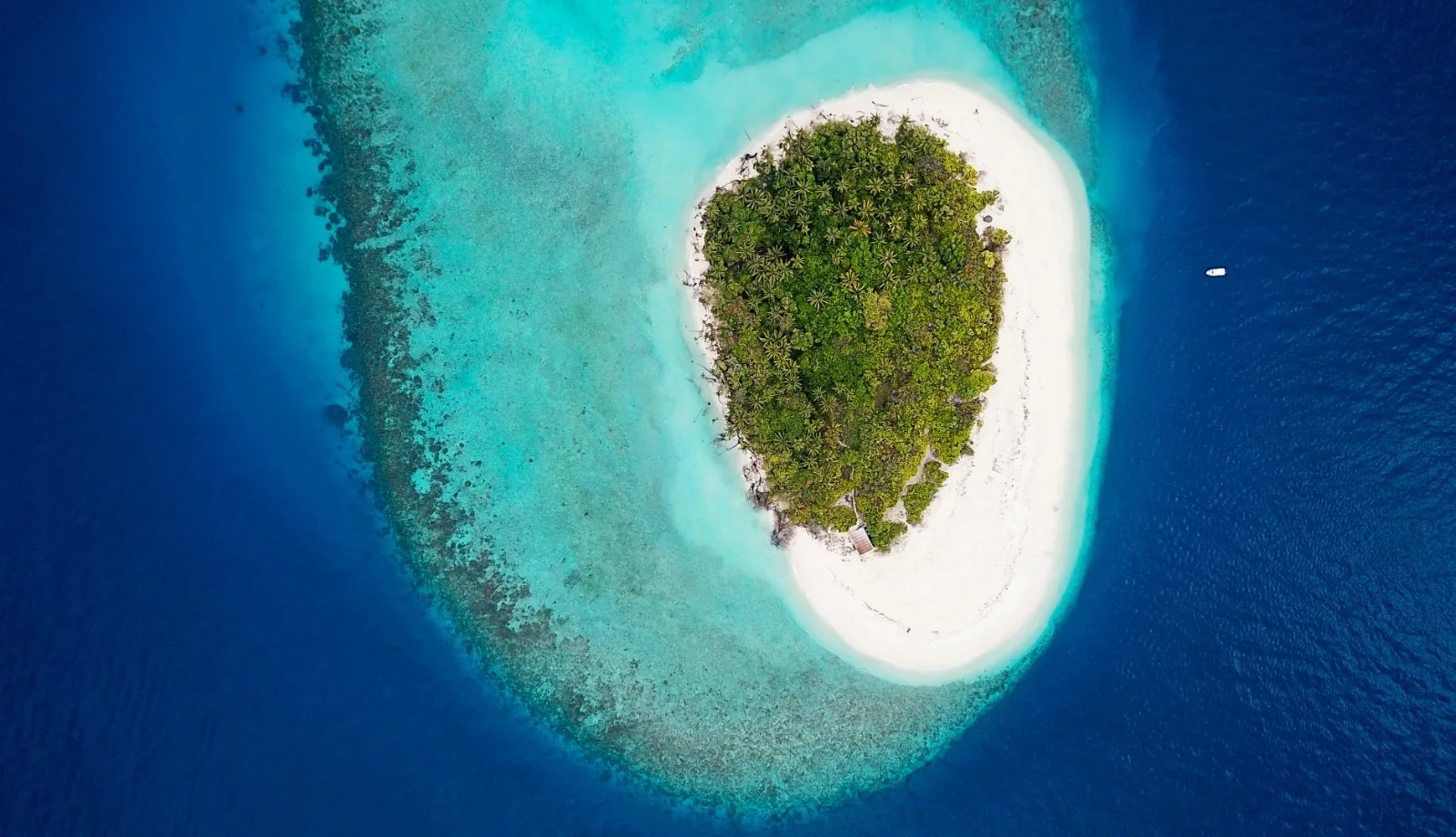 Small round island ringed by white sand and turquoise reef in Baa Atoll, Maldives