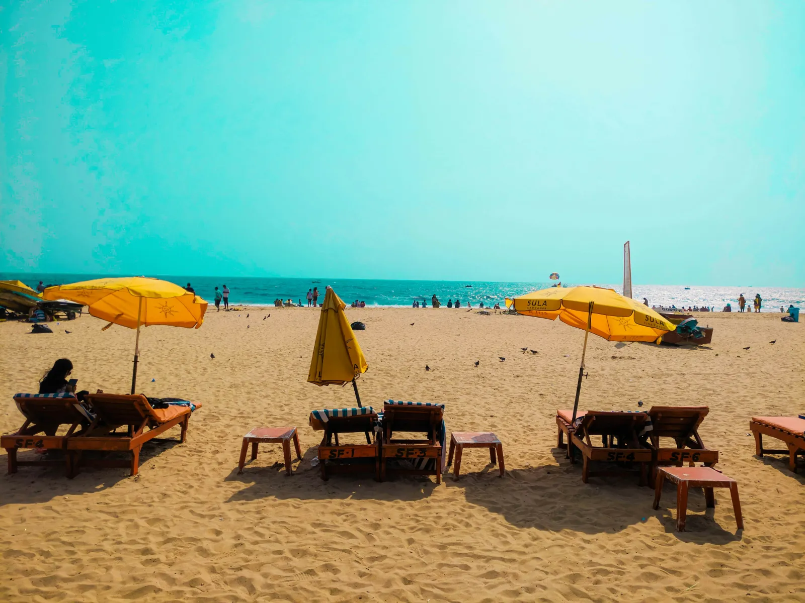 Yellow beach umbrellas and loungers on the sand at Baga Beach in North Goa