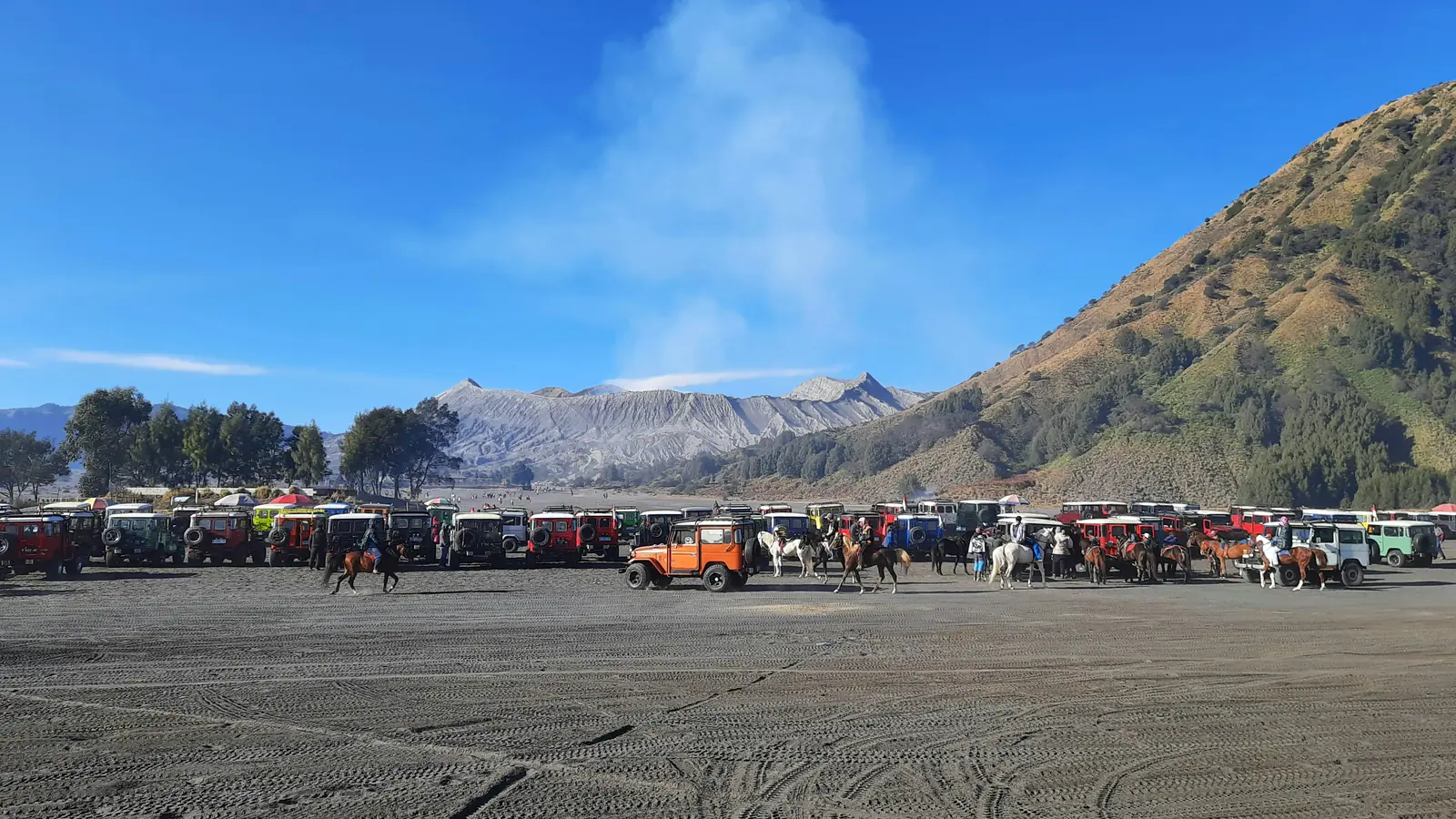 Rows of tour jeeps parked on the Sea of Sand below Mount Bromo on a clear morning