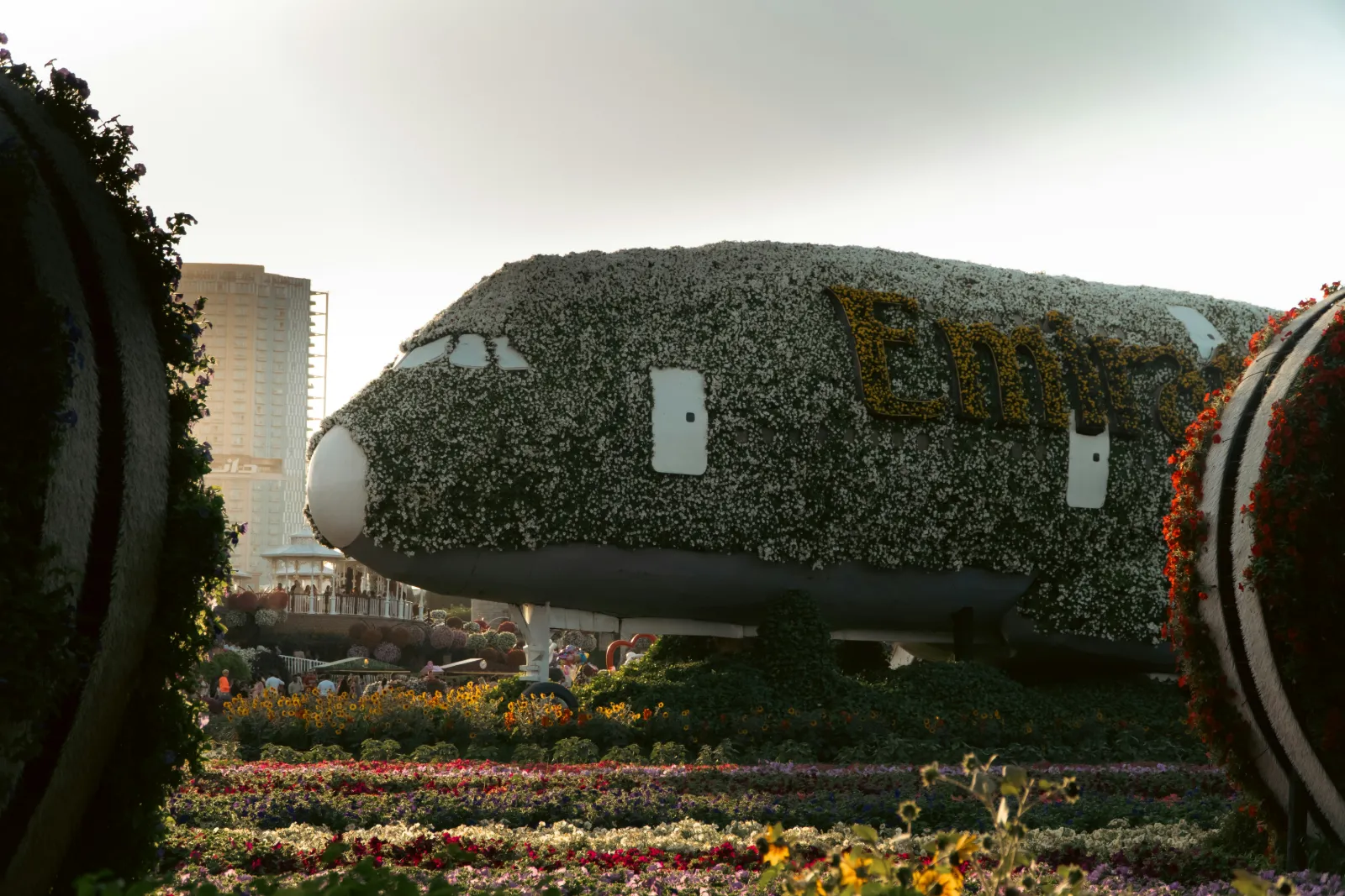 Life size Emirates A380 aircraft covered in flowers at Dubai Miracle Garden