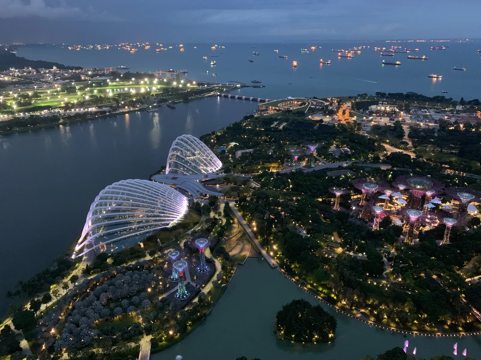 Night view from high above over Gardens by the Bay and the Marina Bay waterfront in Singapore