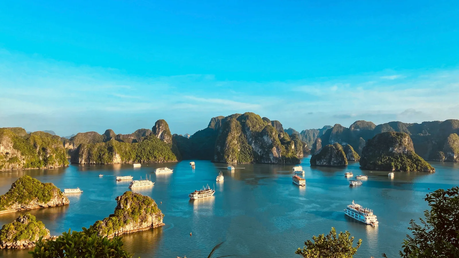 Vietnam Travel Guide: Visa, Money, Transport and Tips