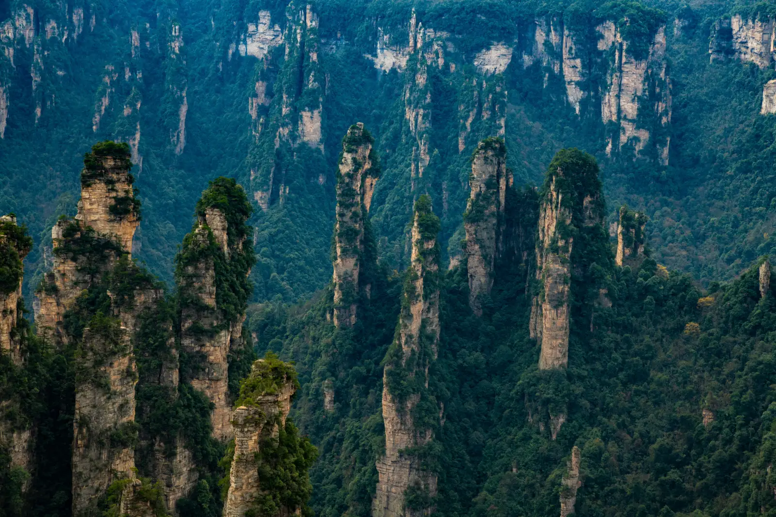 Tall sandstone towers of Hallelujah Mountain at Yuanjiajie in Zhangjiajie National Forest Park