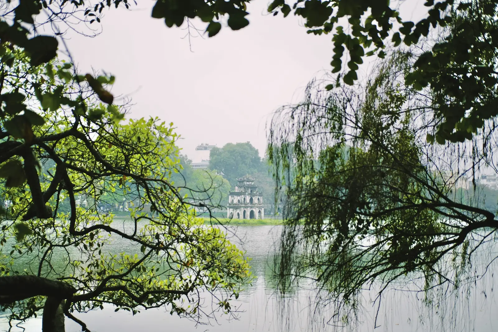 Willow branches framing Turtle Tower across the calm water of Hoan Kiem Lake in Hanoi