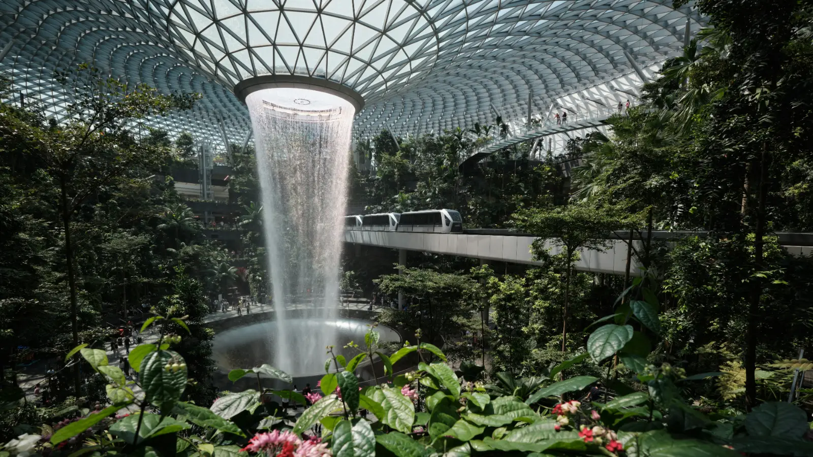 Changi Airport Guide: Layovers, Jewel and Transfers
