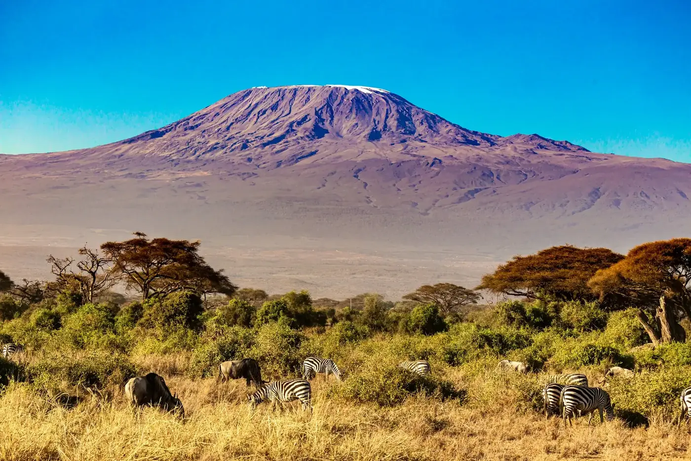 Mount Kilimanjaro from Kenya: Amboseli Views and Climb Basics