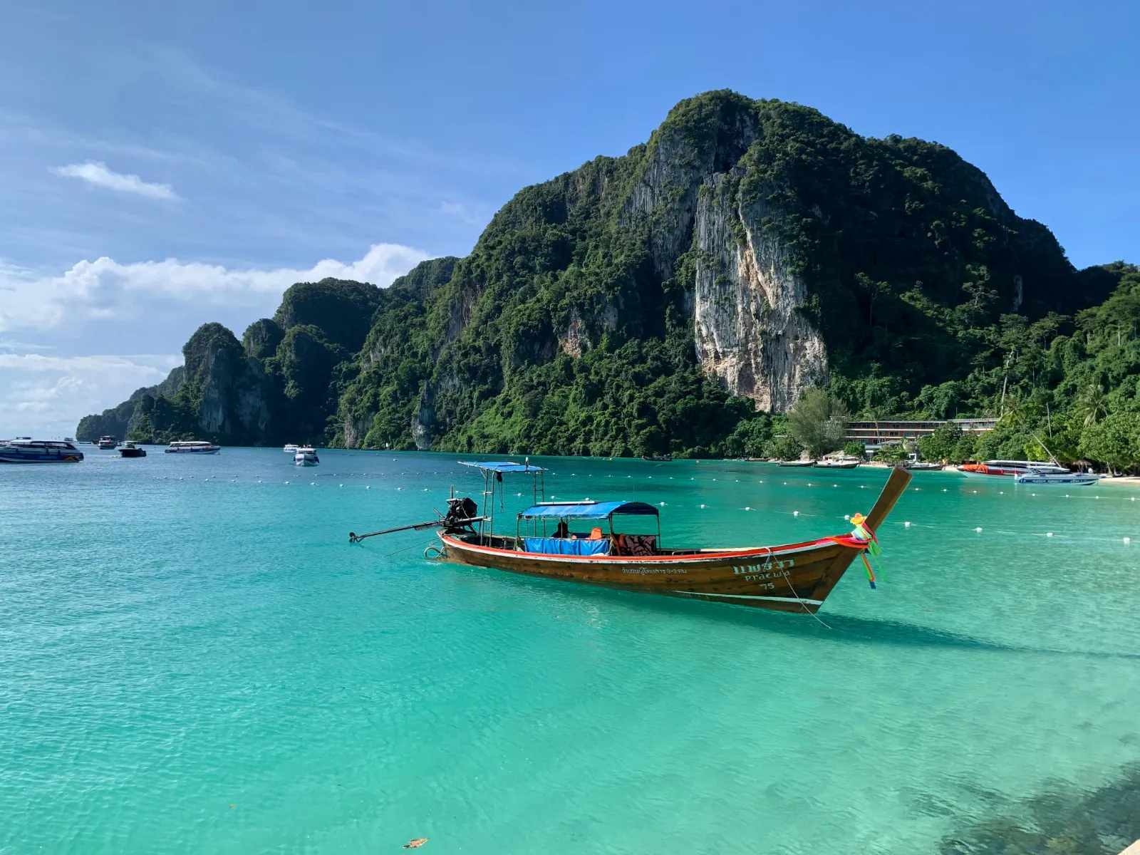 Longtail boats moored in turquoise water below limestone cliffs at Ko Phi Phi Don, Thailand