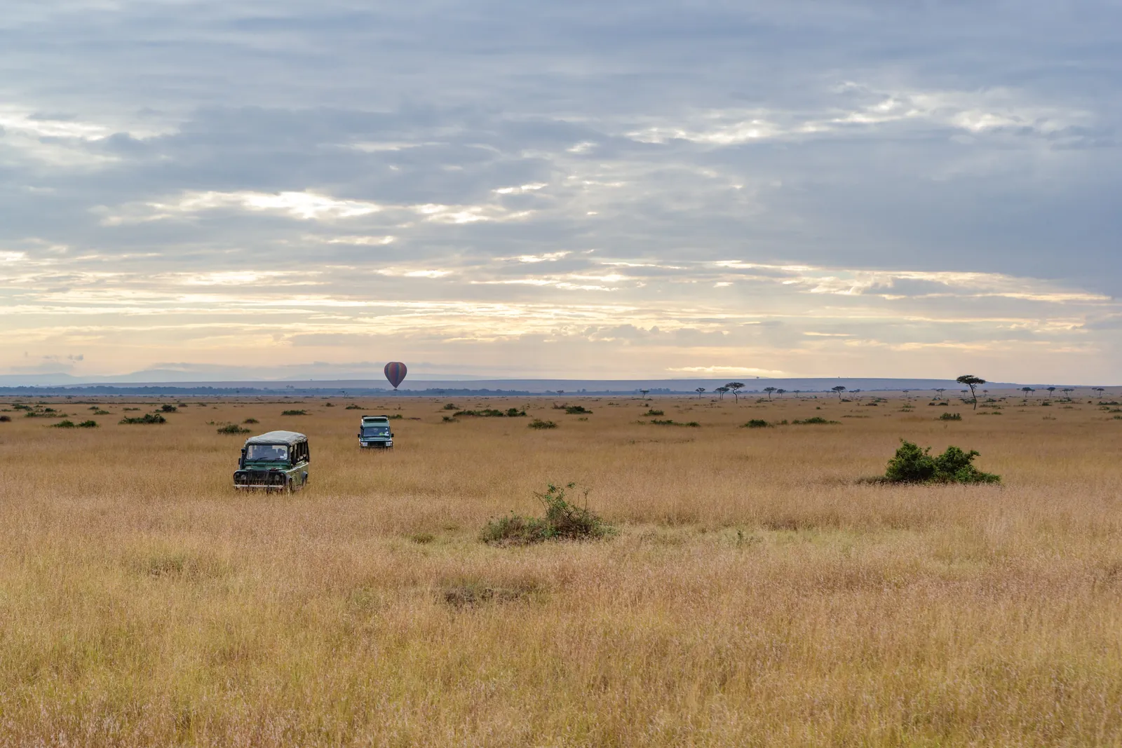 Two safari vehicles spaced far apart on open golden savannah under a wide Kenyan sky