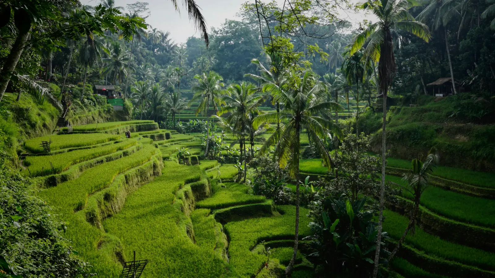 Bali vs Thailand: Which Is Better for Your Holiday?