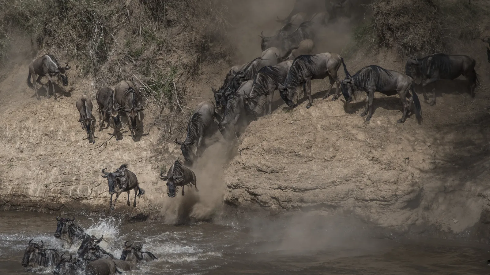 When Is the Great Migration in Kenya? Month by Month Guide