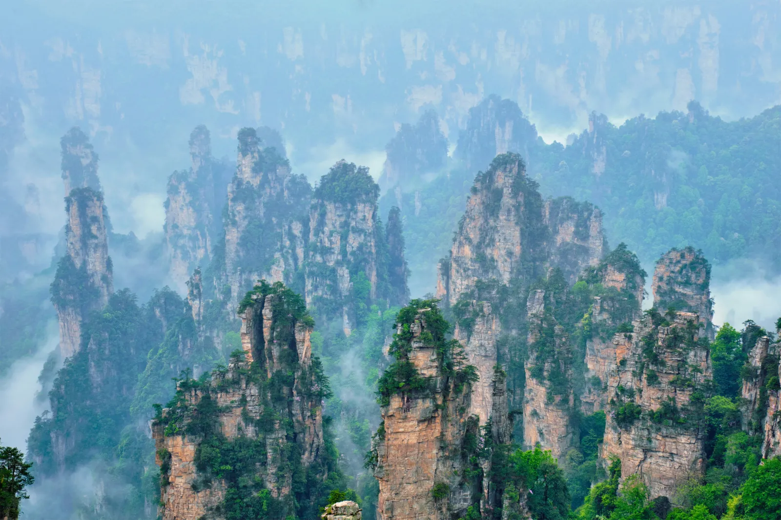 Mist drifting between forested sandstone peaks in Zhangjiajie, Hunan, on a cool day